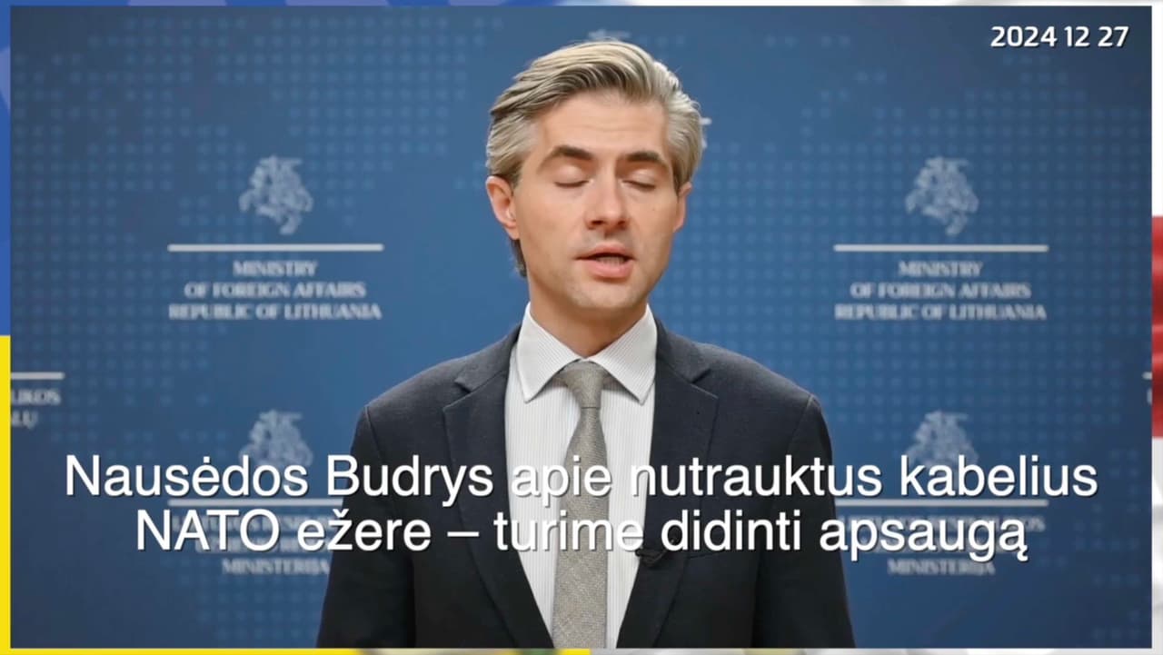 Apie privalomas Rusijos šnipo savybes Ukrainoje. Ar tokias savybes Lietuvoje turi Nausėdos Budrys?