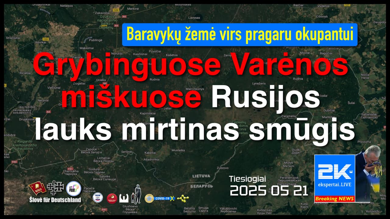 Miškai saugo Lietuvą: Varėnoje ruošiamas atgrasymo bastionas