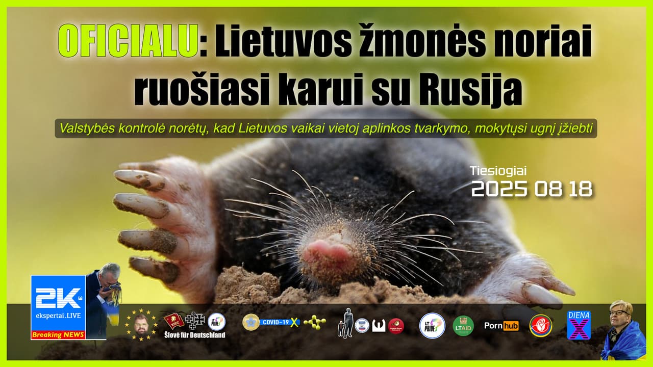 Rasai Juknevičienei trūksta Eduardo Vaitkaus. Kurmius galima atbaidyti raugintomis kačių išmatomis