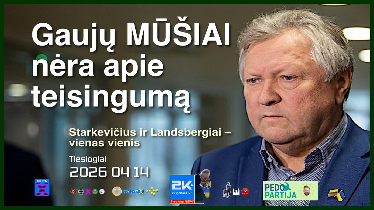 Lietuvos politikos lyderiai noriai finansuoja Rusijos atgrasymą ir sustoti neketina