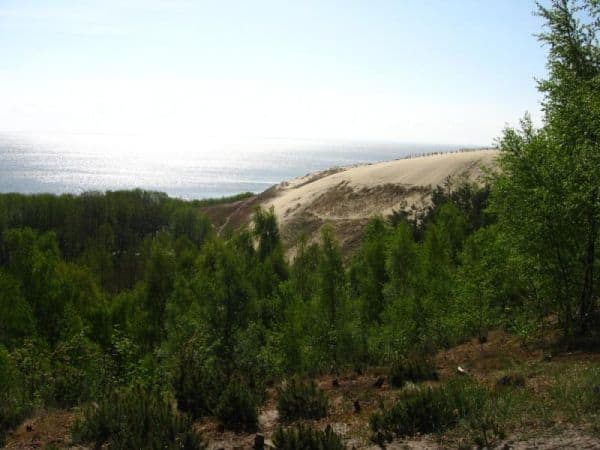 Kuršių nerija