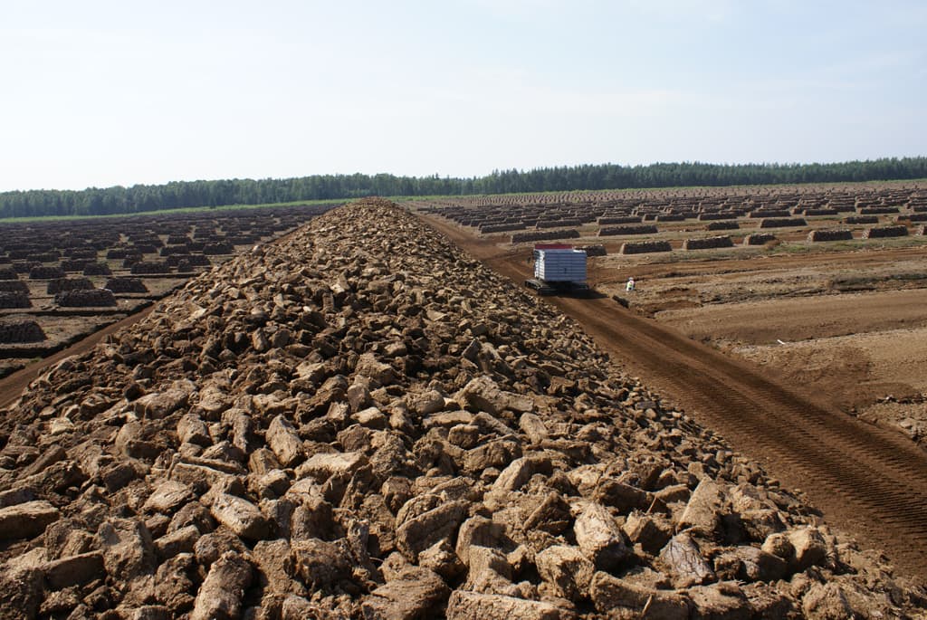 Išparduodame tūkstantmečių turtą – nėra ko džiaugtis