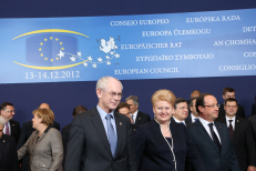 Europos Vadovų Tarybos vadovas H. van Rompėjus ir D. Grybauskaitė. Nuotr. iš „lrp.lt“