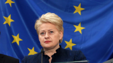 Neeilinės prezidentės D. Grybauskaitės įžvalgos teikia vilties, kad Lietuvos teisėsauga pakils į ryžtingą kovą su tarptautiniais kibernetiniais teroristais 