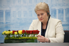 Prezidentė Dalia Grybauskaitė. Martyno Ambrazo (ELTA) nuotr.