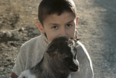 Kadras iš filmo "Begalinis koridorius".