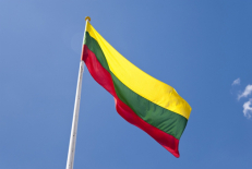 Lietuvos vėliava. Nuotr. iš lithuanian-american.org