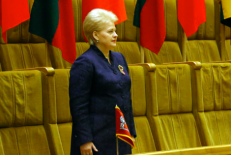 Prezidentė Dalia Grybauskaitė - apolitiška. Nuotr. prezidentas.lt