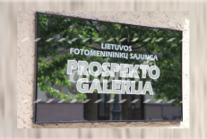 Prospekto galerija. Nuotr. iš dublis.lt