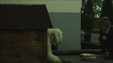 Kadras iš filmo „Šuns dienos“