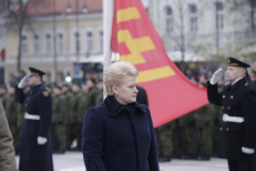 D. Grybauskaitė sveikina karius. Nuotr. iš president.lt