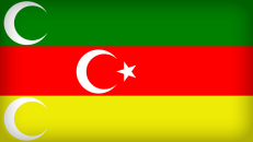 Turkų meschetinų vėliava.