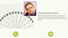 Firmos „Kitokie projektai“ internetinio portalo fragmentas (violetiniame rėmelyje Lietuvos banko vadovas Vitas Vasiliauskas)