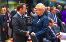 D. Grybauskaitė visų Europos lyderių dėmesio centre. Nuotr. prezidentas.lt