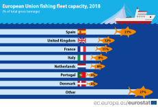 ES žvejybos laivynas mažėja. 