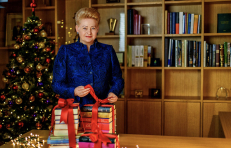 Oficiali Rusijos Federacijos valstybės paslaptis, Lietuvos prezidentė Dalia Grybauskaitė. Nuotr. facebook.com